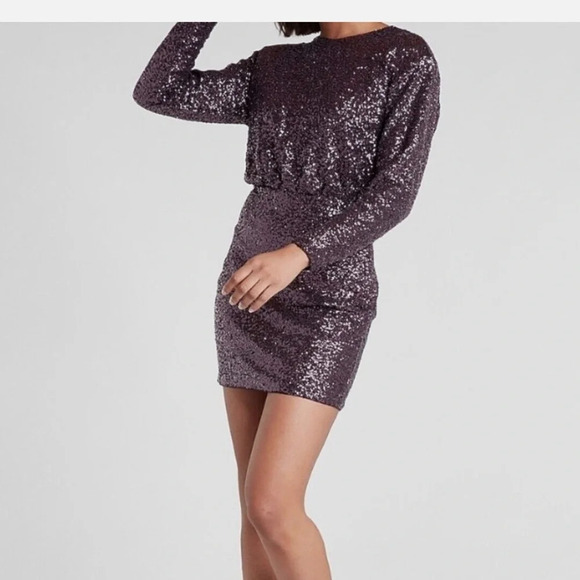 Express Long Sleeve Dress with Sequins - Picture 7 of 7